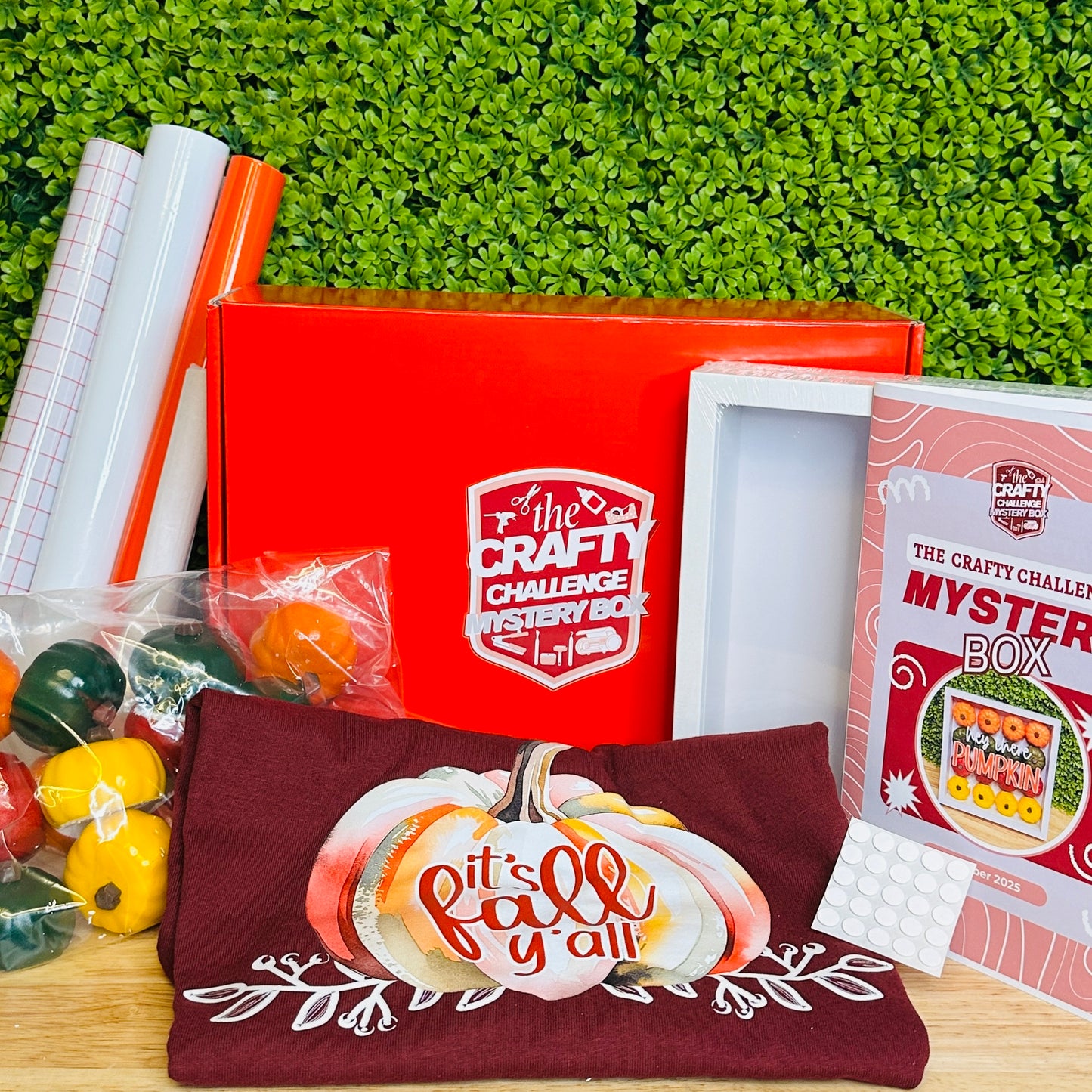 🏆 BRING IT ON BOX