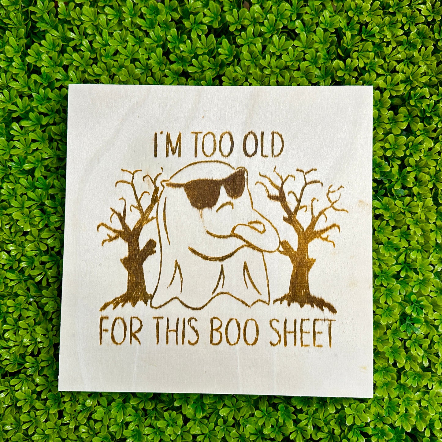 🏆 BRING IT ON BOX